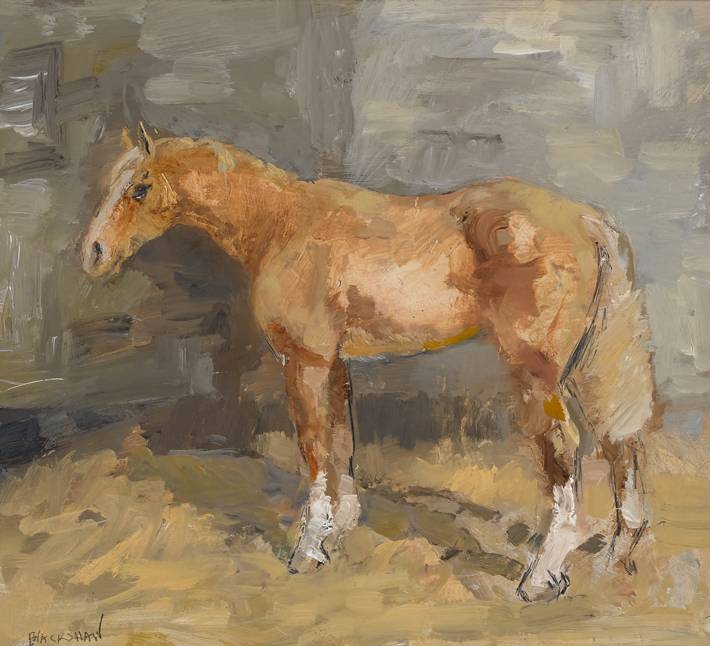A CHESTNUT COB by Basil Blackshaw sold for 6,000 at Whyte's Auctions