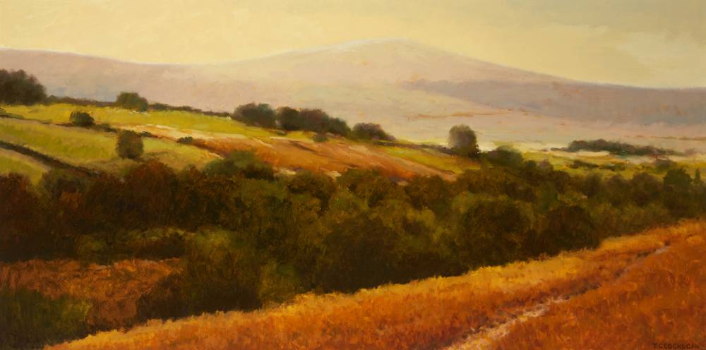 EDGE OF THE VALLEY, MANOR KILBRIDE, COUNTY WICKLOW, 2005 by Trevor Geoghegan (b.1946) at Whyte's Auctions