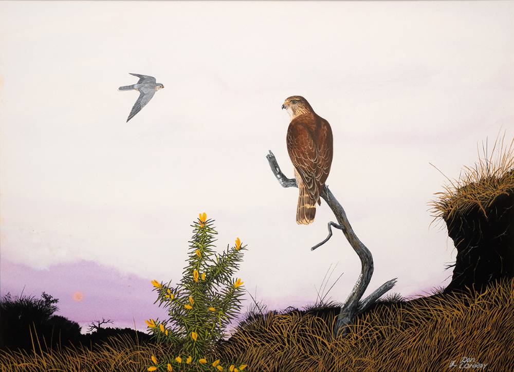 BIRDS by Don Conroy sold for �210 at Whyte's Auctions