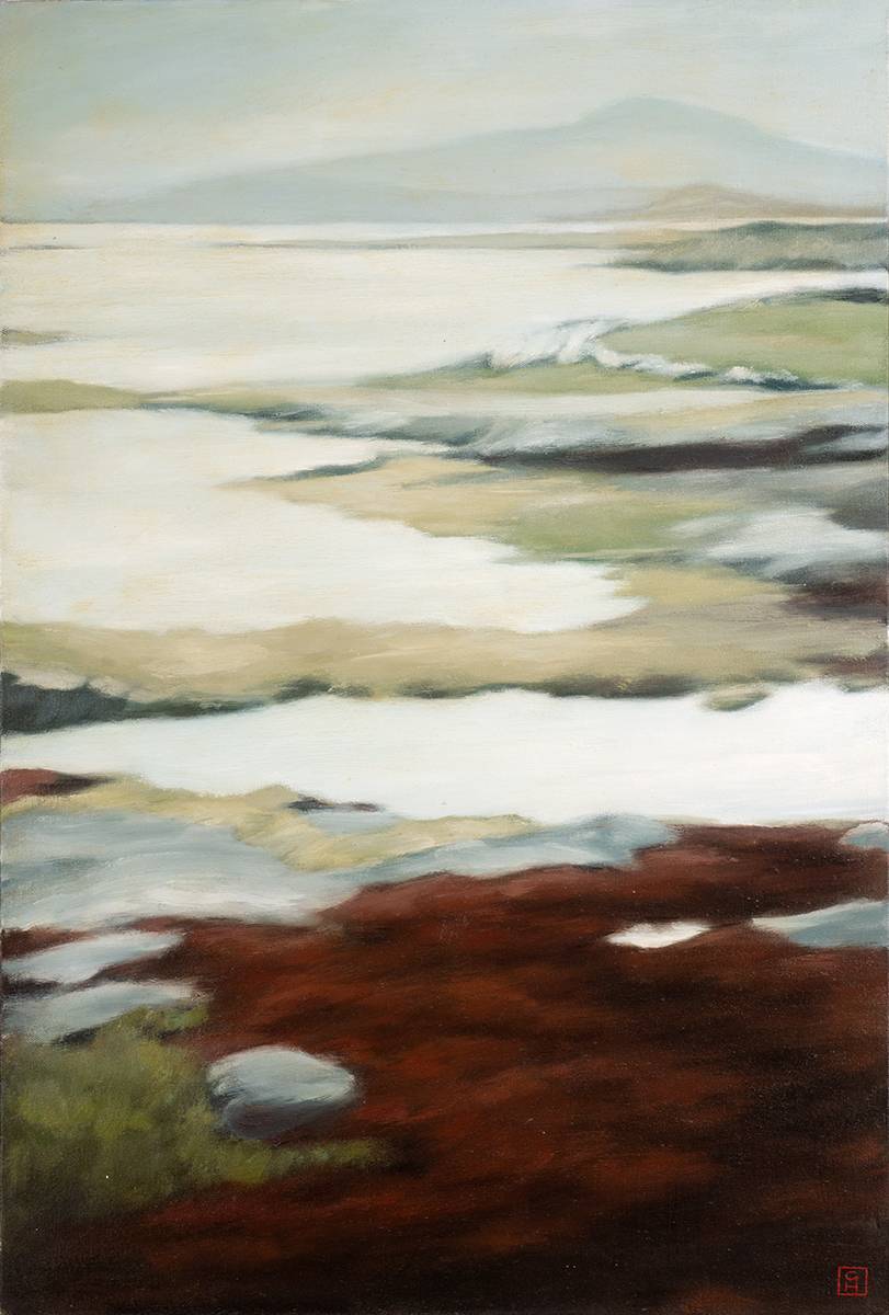 SEAWEED, BERTRAGHBOY, CONNEMARA by Guy Hanscomb (b.1968) at Whyte's Auctions