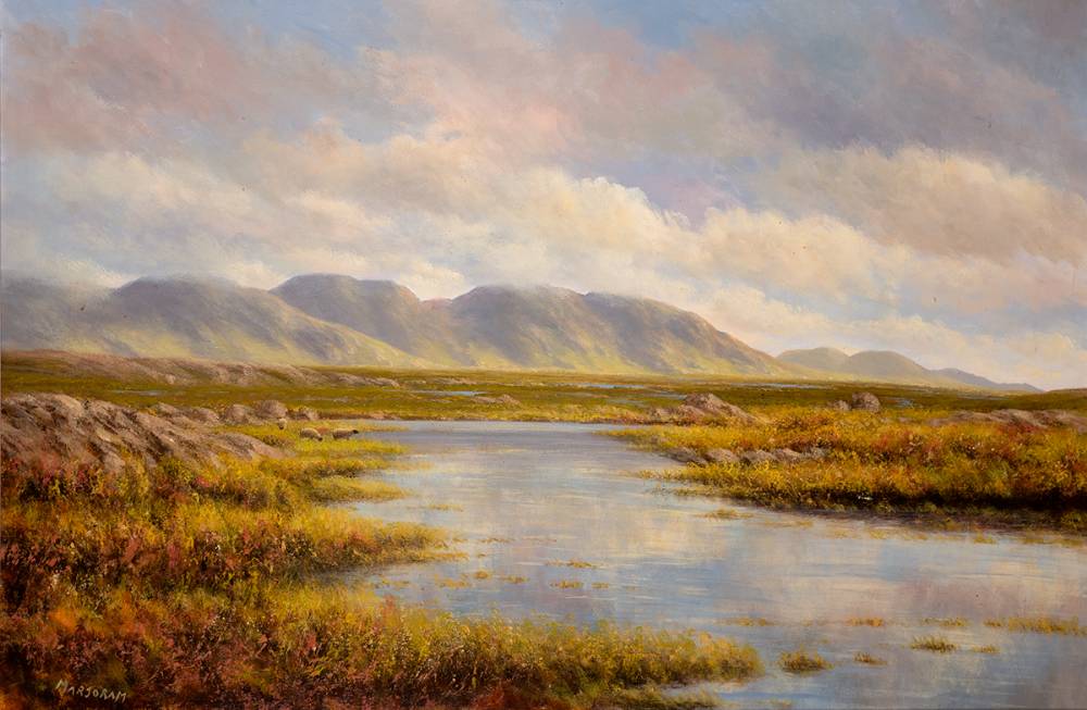 ROUNDSTONE BOG, CONNEMARA, COUNTY GALWAY by Gerry Marjoram sold for 680 at Whyte's Auctions