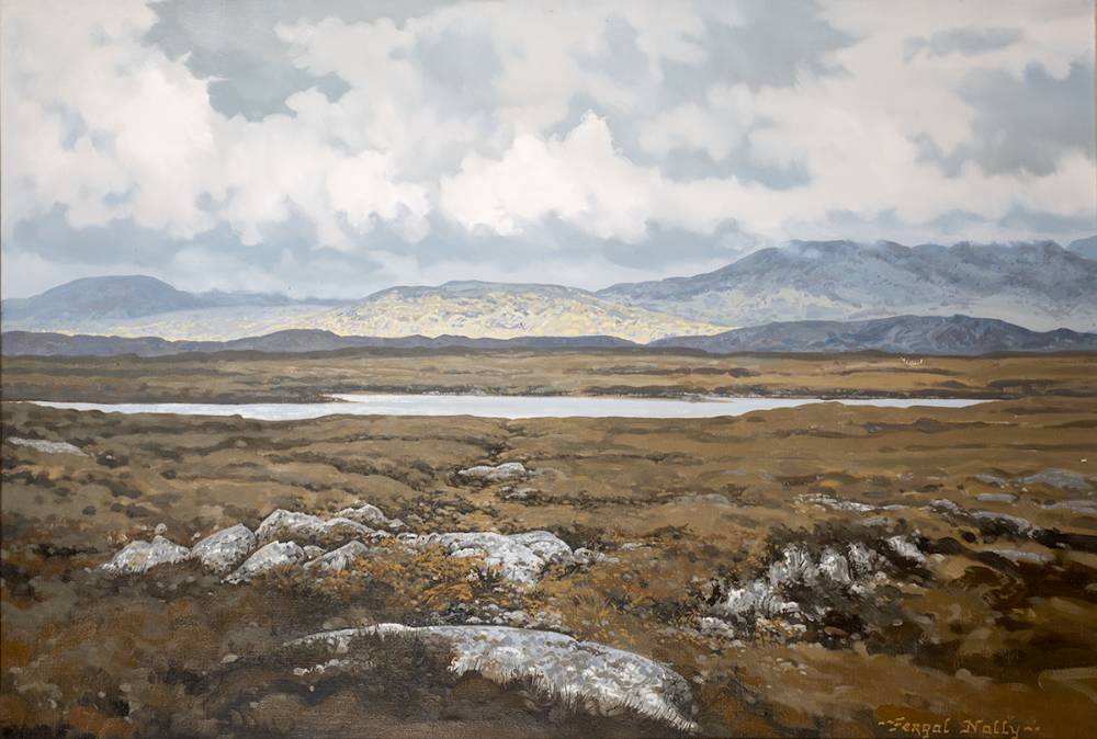 THE OLD BOG ROAD, NEAR CLIFDEN, CONNEMARA, COUNTY GALWAY by Fergal Nally  at Whyte's Auctions