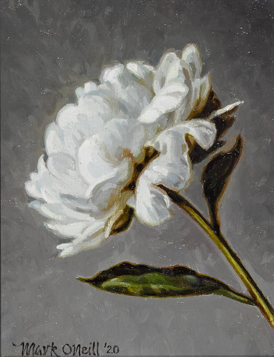 LITTLE MAGNOLIA, 2020 by Mark O'Neill (b.1963) at Whyte's Auctions