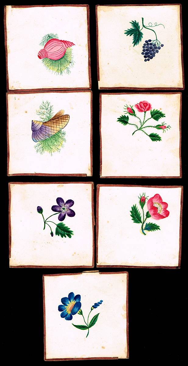 FLOWER AND SHELL STUDIES (SET OF SEVEN) by Elizabeth Middleton Pollexfen (1819-1892) at Whyte's Auctions