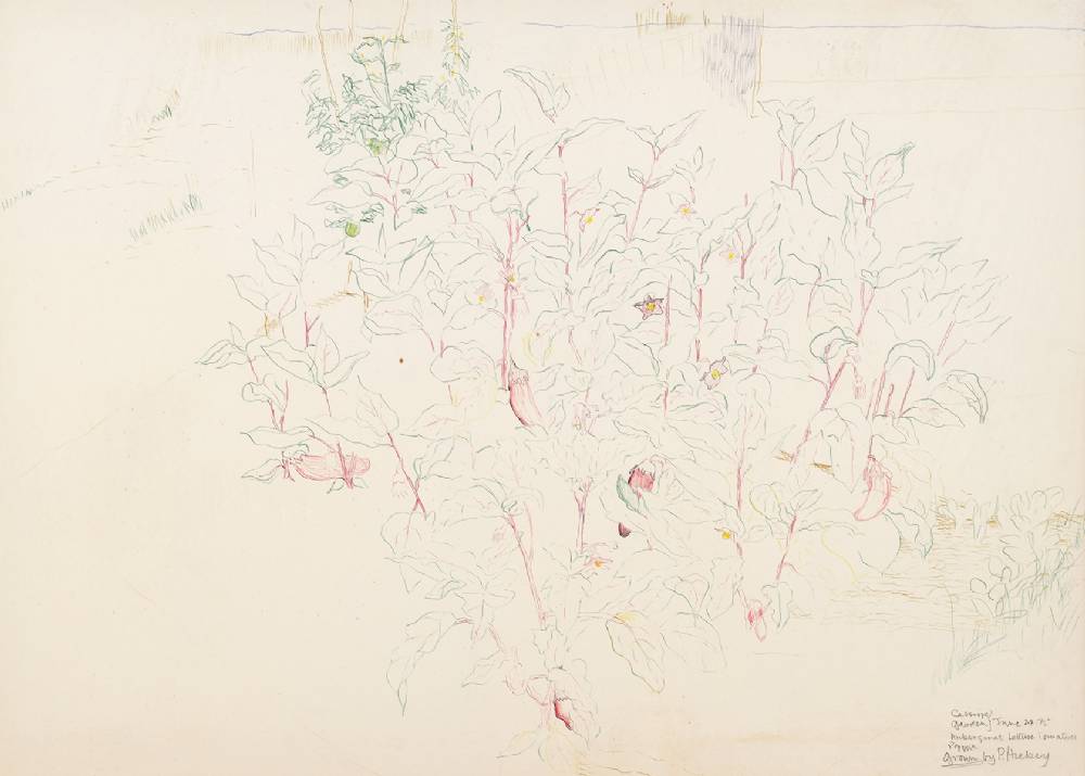 CASSIOPE GARDEN, 1975 by Patrick Hickey HRHA (1927-1998) at Whyte's Auctions