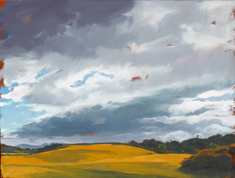 SKY LANDSCAPE, 1995 by Tracey Quinn sold for 400 at Whyte's Auctions
