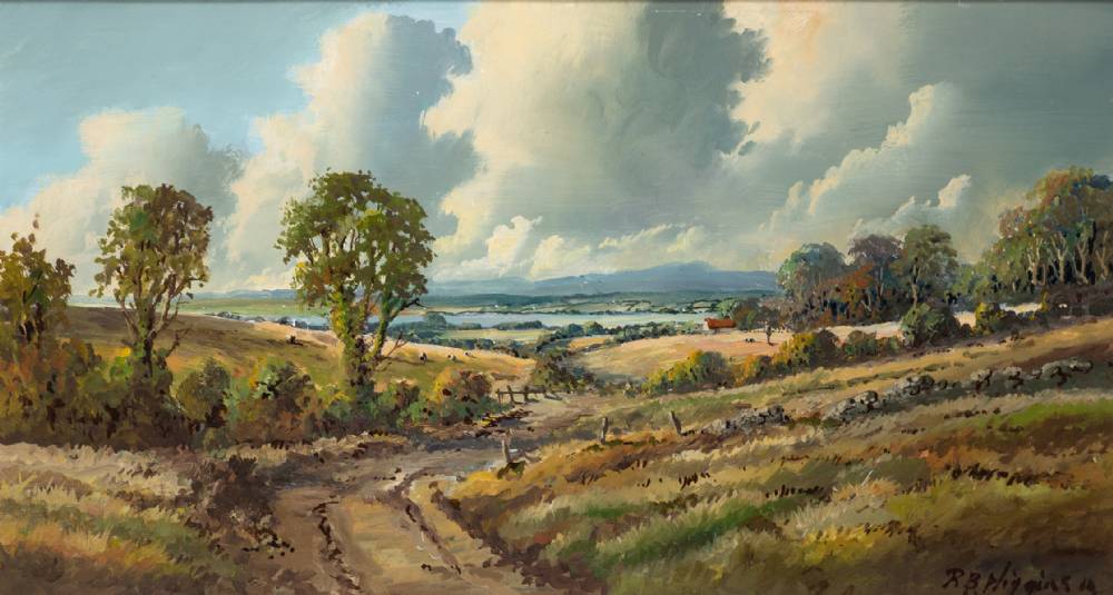 DROMARD HILLS OVERLOOKING STRANGFORD LOUGH, COUNTY DOWN by Robert Bertie Higgins (b.1943) at Whyte's Auctions