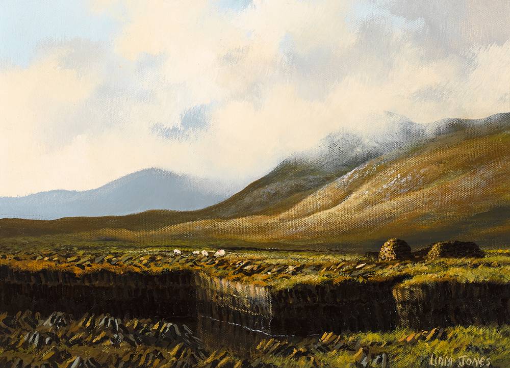 OUTSIDE KENMARE, COUNTY KERRY by Liam Jones sold for �200 at Whyte's Auctions