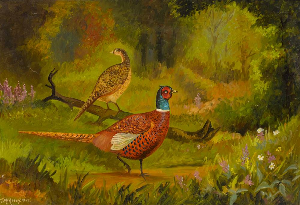 PHEASANTS, 1985 by Tom McAssey  at Whyte's Auctions