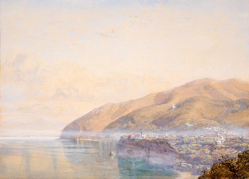 VICO BAY OF NAPLES, 1863 by John Brett sold for 400 at Whyte's Auctions