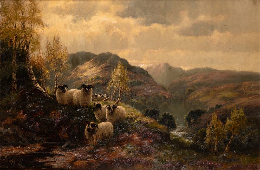 HIGHLAND SHEEP IN FOGGY SUNRISE, 1905 by Sidney Pike sold for 290 at Whyte's Auctions