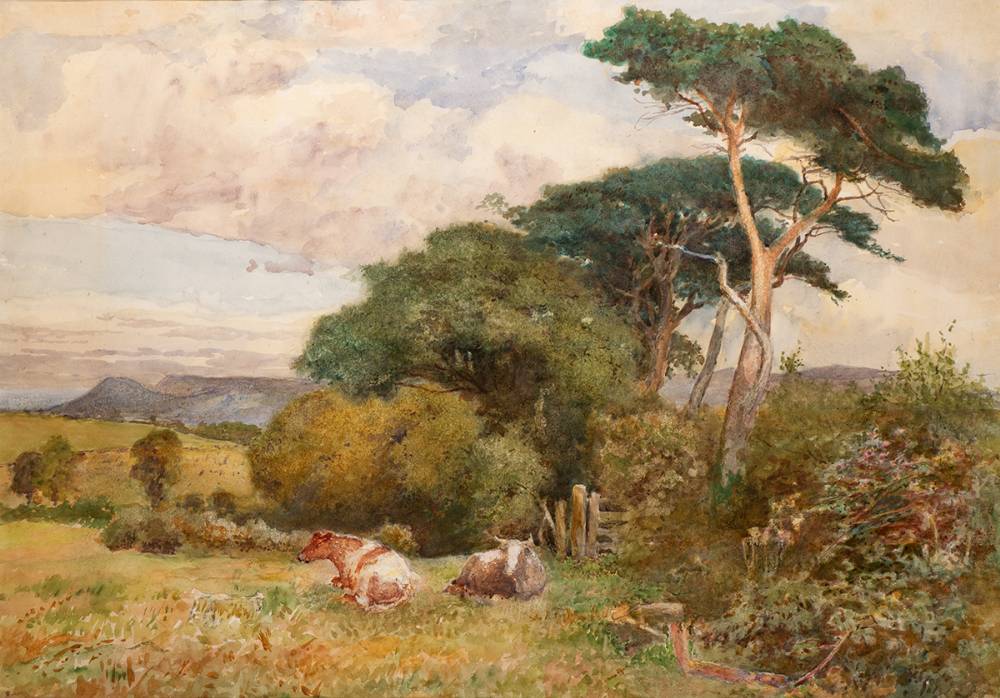COWS IN PASTURE at Whyte's Auctions