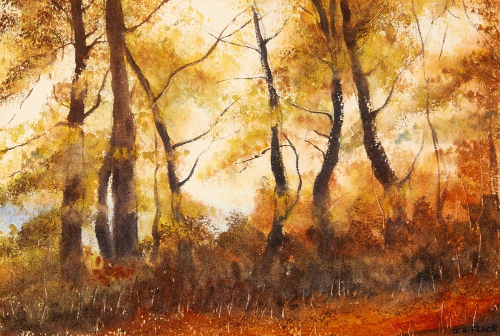 AUTUMN WAYSIDE, 1981 by James Hall Flack sold for 200 at Whyte's Auctions