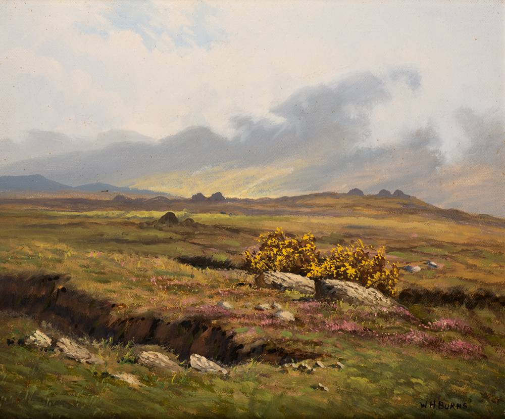 IN THE MAAMTURK MOUNTAINS, CONNEMARA by William Henry Burns (1924-1995) at Whyte's Auctions