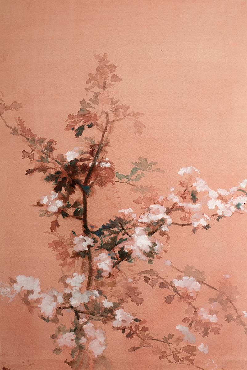 HAWTHORN BLOSSOM by Tom Carr sold for 320 at Whyte's Auctions