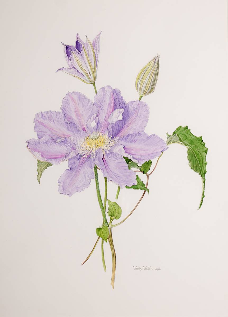 CLEMATIS, 1996 by Wendy F. Walsh sold for 1,400 at Whyte's Auctions