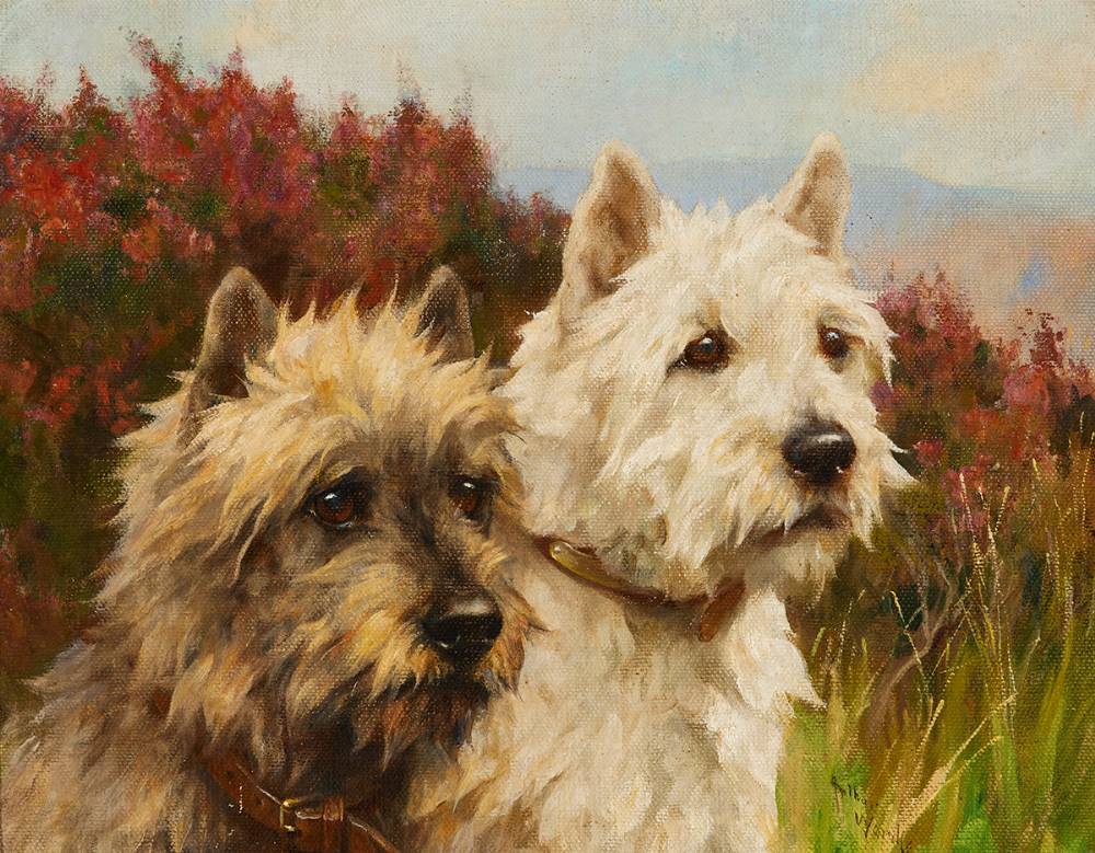 HIGHLAND TERRIERS by Arthur Wardle sold for 2,900 at Whyte's Auctions
