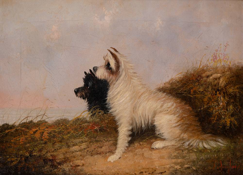 TWO TERRIERS by J. Langlois (c. 1855-1904) at Whyte's Auctions