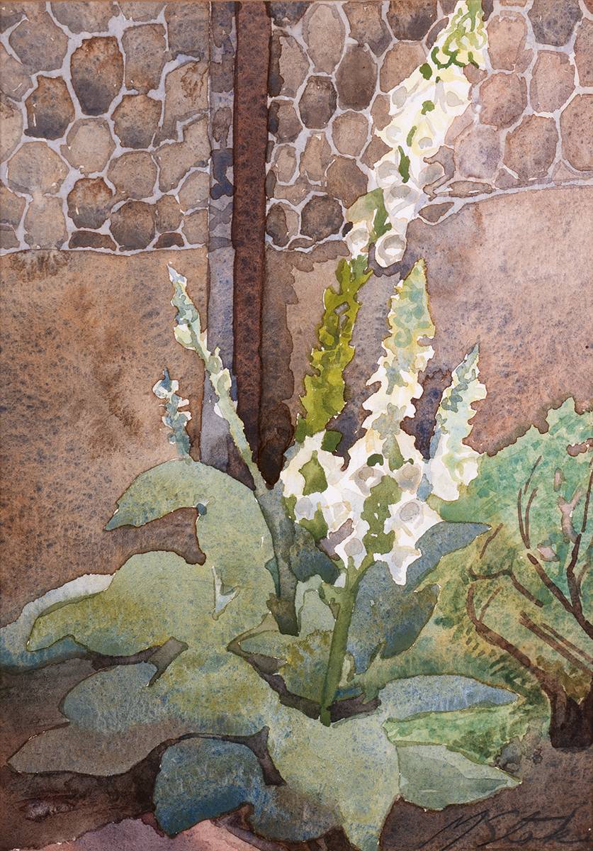 FOXGLOVE by Margaret Stokes (1915-1996) at Whyte's Auctions