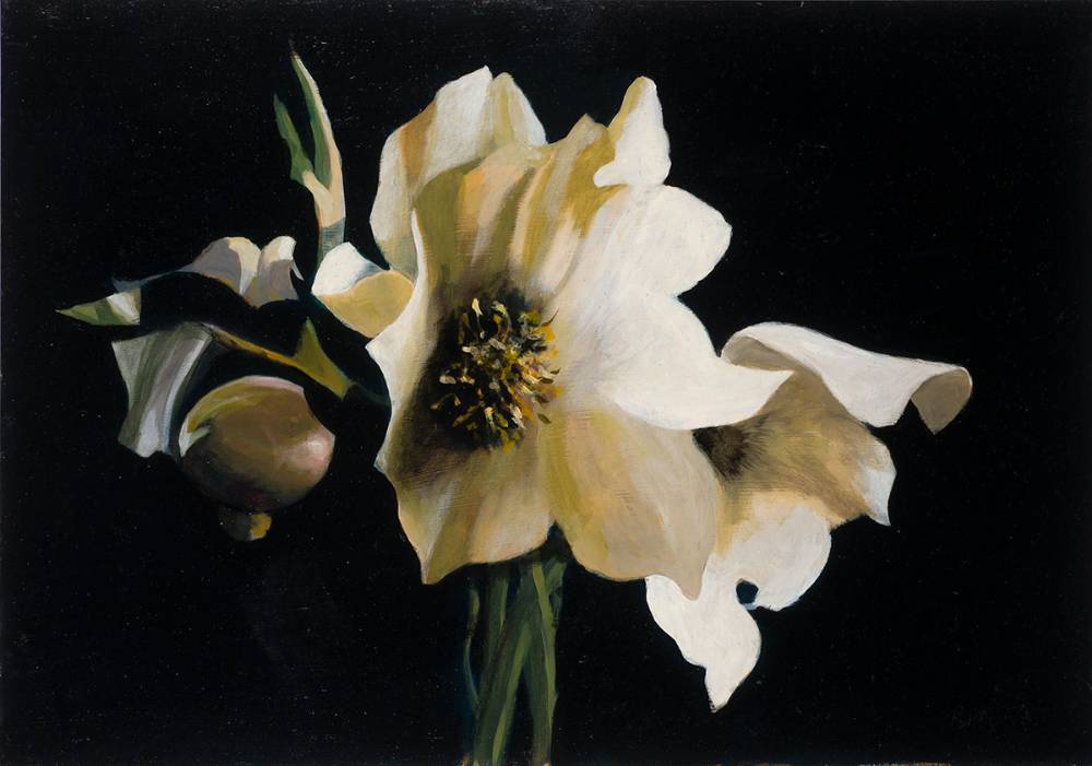 HELLEBORES by Rosemary McLoughlin sold for 700 at Whyte's Auctions