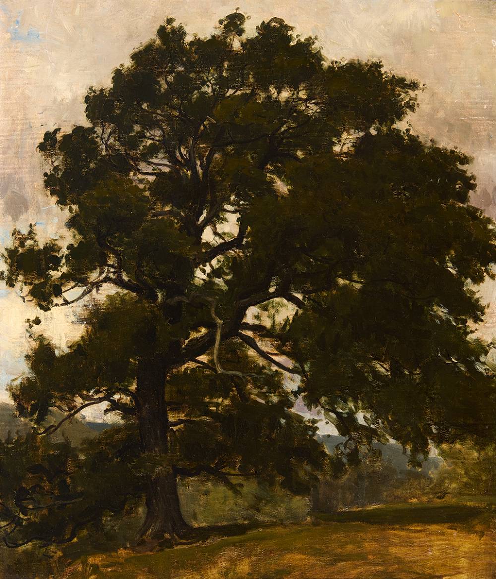 TREE STUDY by Nathaniel Hone RHA (1831-1917) at Whyte's Auctions