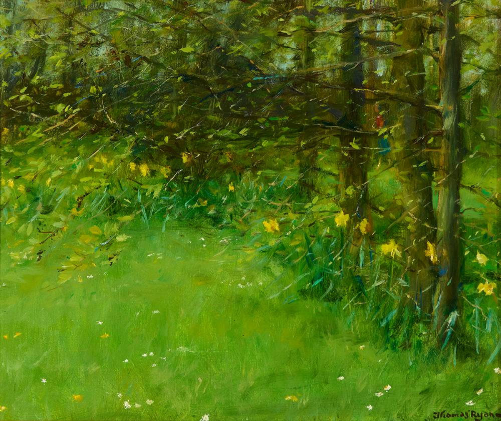 DAFFODILS UNDER TREES, 1983 by Thomas Ryan PPRHA (1929-2021) at Whyte's Auctions